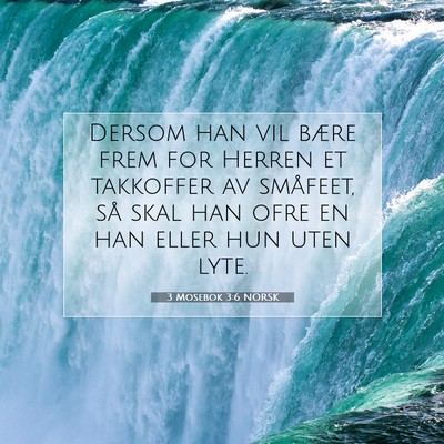 Picture 07 - 3 Mosebok 3:6 NORSK - Dersom han vil bære frem for Herren et takkoffer - Bible Verse Picture