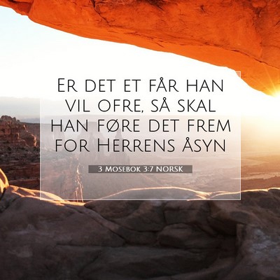 Picture 07 - 3 Mosebok 3:7 NORSK - Er det et får han vil ofre, så skal han føre - Bible Verse Picture