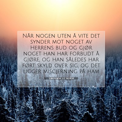 Picture 07 - 3 Mosebok 5:17 NORSK - Når nogen uten å vite det synder mot noget av - Bible Verse Picture