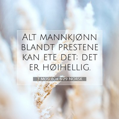 Picture 07 - 3 Mosebok 6:29 NORSK - Alt mannkjønn blandt prestene kan ete det; det - Bible Verse Picture