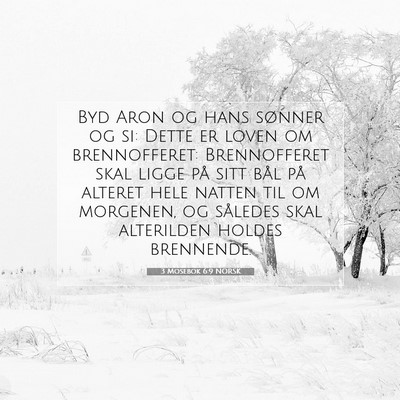 Picture 07 - 3 Mosebok 6:9 NORSK - Byd Aron og hans sønner og si: Dette er loven om - Bible Verse Picture