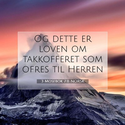 Picture 07 - 3 Mosebok 7:11 NORSK - Og dette er loven om takkofferet som ofres til - Bible Verse Picture