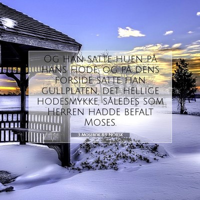 Picture 07 - 3 Mosebok 8:9 NORSK - Og han satte huen på hans hode, og på dens - Bible Verse Picture