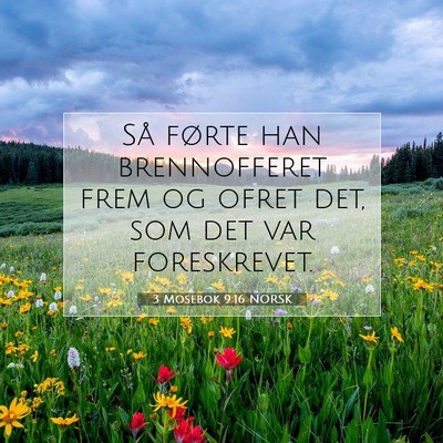 Picture 07 - 3 Mosebok 9:16 NORSK - Så førte han brennofferet frem og ofret det, - Bible Verse Picture