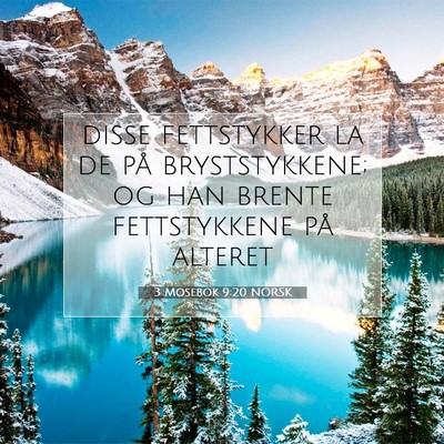 Picture 07 - 3 Mosebok 9:20 NORSK - disse fettstykker la de på bryststykkene; og han - Bible Verse Picture
