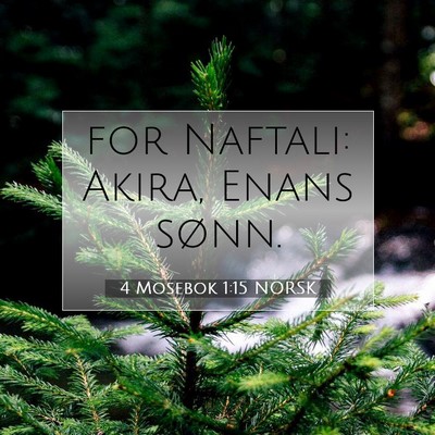 Picture 07 - 4 Mosebok 1:15 NORSK - for Naftali: Akira, Enans - Bible Verse Picture