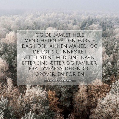 Picture 07 - 4 Mosebok 1:18 NORSK - og de samlet hele menigheten på den første dag - Bible Verse Picture