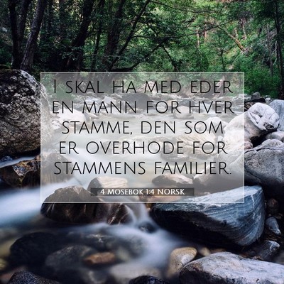 Picture 07 - 4 Mosebok 1:4 NORSK - I skal ha med eder en mann for hver stamme, den - Bible Verse Picture