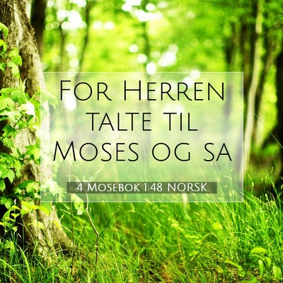 Picture 07 - 4 Mosebok 1:48 NORSK - For Herren talte til Moses og - Bible Verse Picture