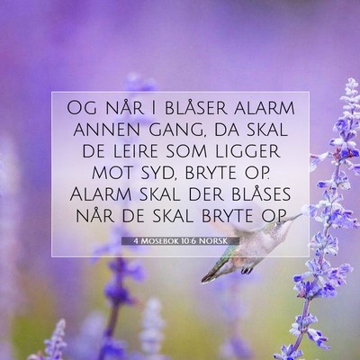 Picture 07 - 4 Mosebok 10:6 NORSK - Og når I blåser alarm annen gang, da skal de - Bible Verse Picture
