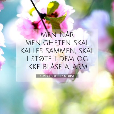 Picture 07 - 4 Mosebok 10:7 NORSK - Men når menigheten skal kalles sammen, skal I - Bible Verse Picture