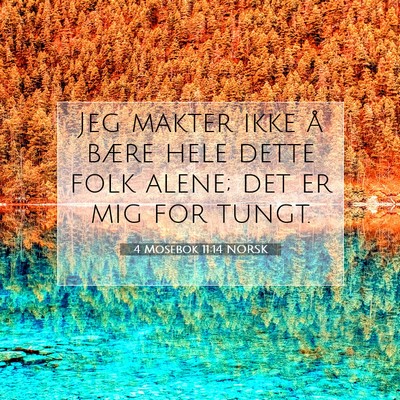 Picture 07 - 4 Mosebok 11:14 NORSK - Jeg makter ikke å bære hele dette folk alene; - Bible Verse Picture