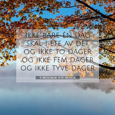 Picture 07 - 4 Mosebok 11:19 NORSK - Ikke bare én dag skal I ete av det, og ikke to - Bible Verse Picture