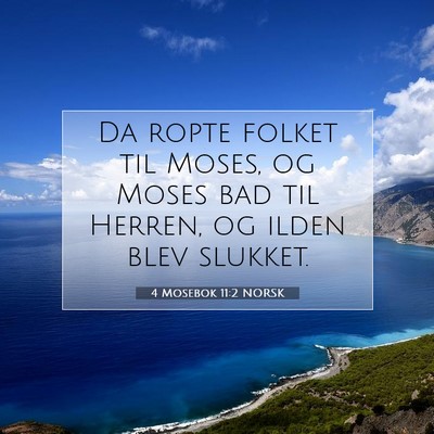 Picture 07 - 4 Mosebok 11:2 NORSK - Da ropte folket til Moses, og Moses bad til - Bible Verse Picture