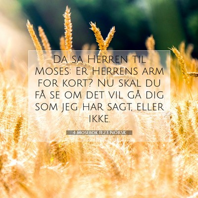Picture 07 - 4 Mosebok 11:23 NORSK - Da sa Herren til Moses: Er Herrens arm for kort? - Bible Verse Picture