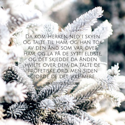 Picture 07 - 4 Mosebok 11:25 NORSK - Da kom Herren ned i skyen og talte til ham, og - Bible Verse Picture