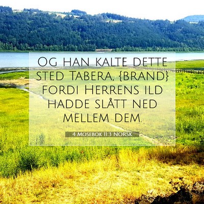 Picture 07 - 4 Mosebok 11:3 NORSK - Og han kalte dette sted Tabera, {brand} fordi - Bible Verse Picture