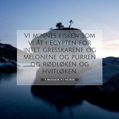 Picture 07 - 4 Mosebok 11:5 NORSK - Vi minnes fisken som vi åt i Egypten for intet, - Bible Verse Picture