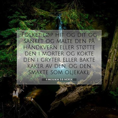 Picture 07 - 4 Mosebok 11:8 NORSK - Folket løp hit og dit og sanket og malte den på - Bible Verse Picture