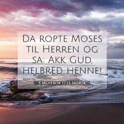 Picture 07 - 4 Mosebok 12:13 NORSK - Da ropte Moses til Herren og sa: Akk Gud, helbred - Bible Verse Picture