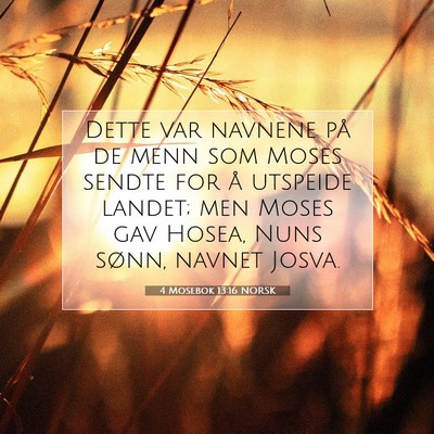 Picture 07 - 4 Mosebok 13:16 NORSK - Dette var navnene på de menn som Moses sendte - Bible Verse Picture