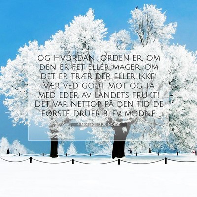 Picture 07 - 4 Mosebok 13:20 NORSK - og hvordan jorden er, om den er fet eller mager, - Bible Verse Picture