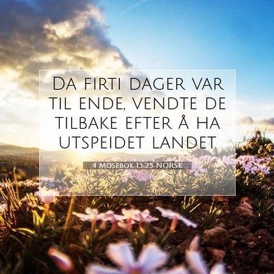 Picture 07 - 4 Mosebok 13:25 NORSK - Da firti dager var til ende, vendte de tilbake - Bible Verse Picture