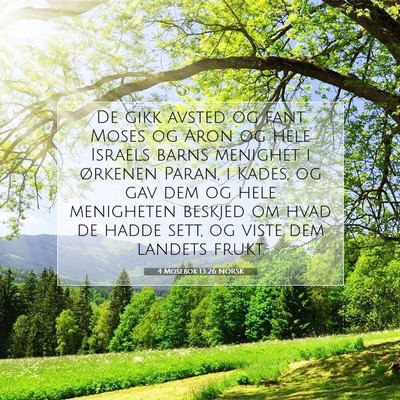 Picture 07 - 4 Mosebok 13:26 NORSK - De gikk avsted og fant Moses og Aron og hele - Bible Verse Picture