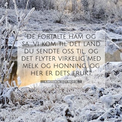 Picture 07 - 4 Mosebok 13:27 NORSK - De fortalte ham og sa: Vi kom til det land du - Bible Verse Picture