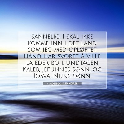 Picture 07 - 4 Mosebok 14:30 NORSK - sannelig, I skal ikke komme inn i det land som - Bible Verse Picture