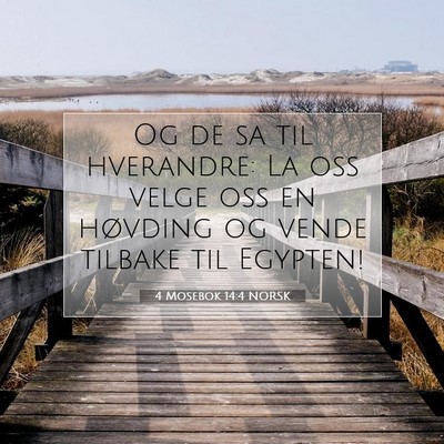 Picture 07 - 4 Mosebok 14:4 NORSK - Og de sa til hverandre: La oss velge oss en - Bible Verse Picture