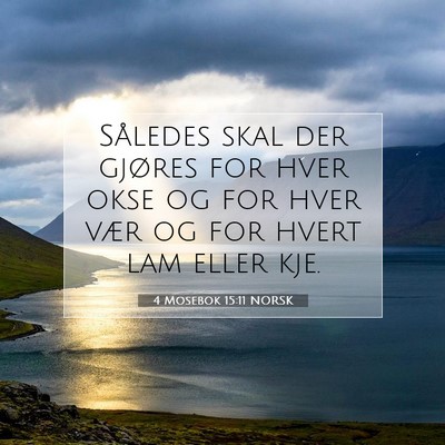 Picture 07 - 4 Mosebok 15:11 NORSK - Således skal der gjøres for hver okse og for - Bible Verse Picture