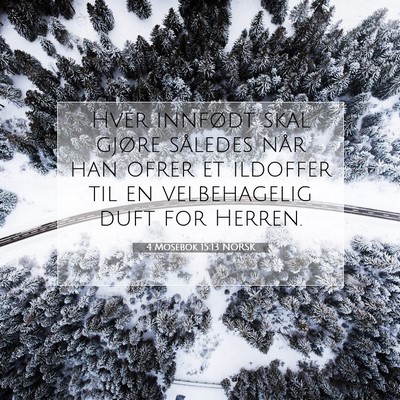 Picture 07 - 4 Mosebok 15:13 NORSK - Hver innfødt skal gjøre således når han ofrer - Bible Verse Picture