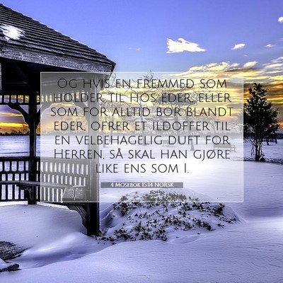 Picture 07 - 4 Mosebok 15:14 NORSK - Og hvis en fremmed som holder til hos eder, eller - Bible Verse Picture