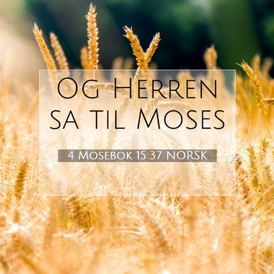 Picture 07 - 4 Mosebok 15:37 NORSK - Og Herren sa til - Bible Verse Picture
