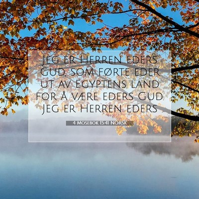 Picture 07 - 4 Mosebok 15:41 NORSK - Jeg er Herren eders Gud, som førte eder ut av - Bible Verse Picture