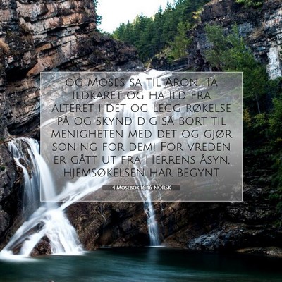 Picture 07 - 4 Mosebok 16:46 NORSK - og Moses sa til Aron: Ta ildkaret og ha ild fra - Bible Verse Picture