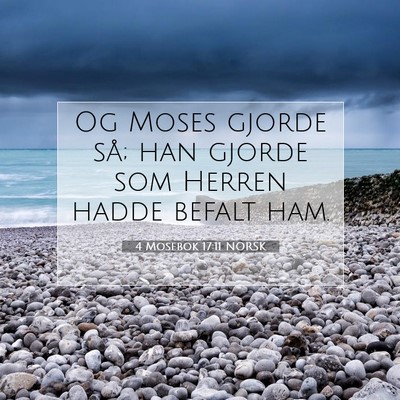 Picture 07 - 4 Mosebok 17:11 NORSK - Og Moses gjorde så; han gjorde som Herren hadde - Bible Verse Picture