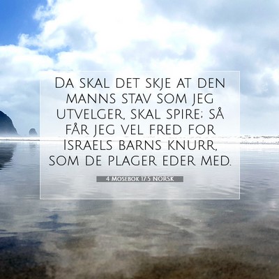 Picture 07 - 4 Mosebok 17:5 NORSK - Da skal det skje at den manns stav som jeg - Bible Verse Picture