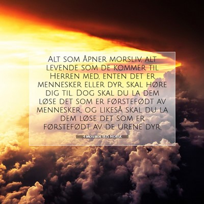 Picture 07 - 4 Mosebok 18:15 NORSK - Alt som åpner morsliv, alt levende som de kommer - Bible Verse Picture