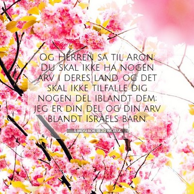 Picture 07 - 4 Mosebok 18:20 NORSK - Og Herren sa til Aron: Du skal ikke ha nogen arv - Bible Verse Picture