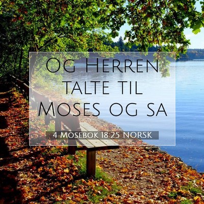 Picture 07 - 4 Mosebok 18:25 NORSK - Og Herren talte til Moses og - Bible Verse Picture