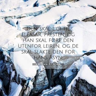 Picture 07 - 4 Mosebok 19:3 NORSK - Den skal I gi til Eleasar, presten, og han skal - Bible Verse Picture