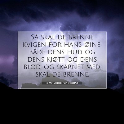 Picture 07 - 4 Mosebok 19:5 NORSK - Så skal de brenne kvigen for hans øine; både - Bible Verse Picture