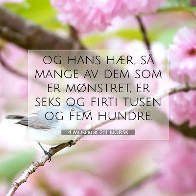 Picture 07 - 4 Mosebok 2:11 NORSK - og hans hær, så mange av dem som er mønstret, - Bible Verse Picture