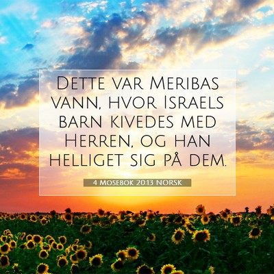 Picture 07 - 4 Mosebok 20:13 NORSK - Dette var Meribas vann, hvor Israels barn kivedes - Bible Verse Picture