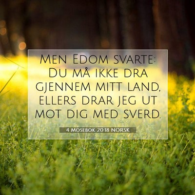 Picture 07 - 4 Mosebok 20:18 NORSK - Men Edom svarte: Du må ikke dra gjennem mitt - Bible Verse Picture