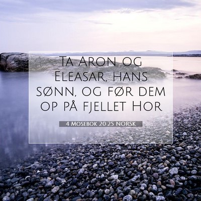 Picture 07 - 4 Mosebok 20:25 NORSK - Ta Aron og Eleasar, hans sønn, og før dem op - Bible Verse Picture