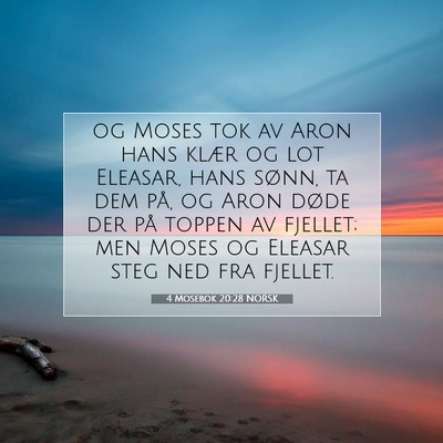 Picture 07 - 4 Mosebok 20:28 NORSK - og Moses tok av Aron hans klær og lot Eleasar, - Bible Verse Picture