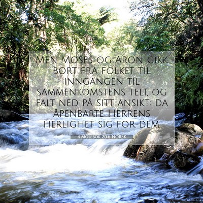 Picture 07 - 4 Mosebok 20:6 NORSK - Men Moses og Aron gikk bort fra folket, til - Bible Verse Picture